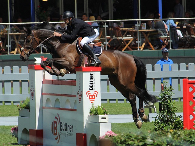 29轮的焦 29轮的焦