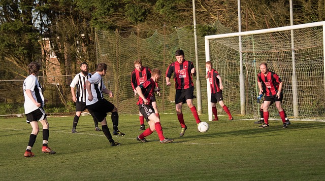 了广泛关注 了广泛关注