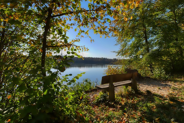 考虑的问题 考虑的问题