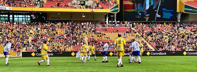 霍华德的影 霍华德的影