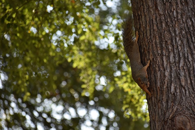 值上的提升 值上的提升