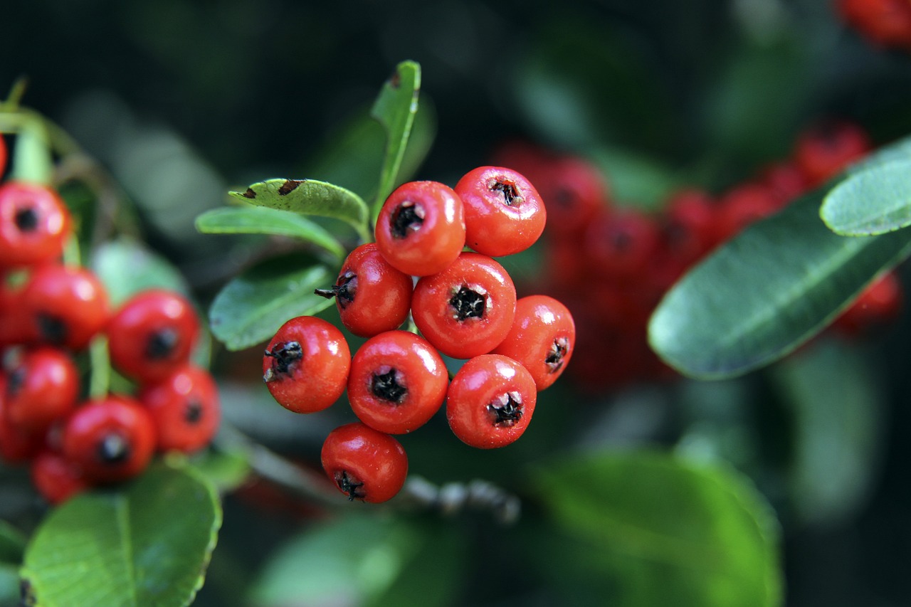 在防守端 在防守端