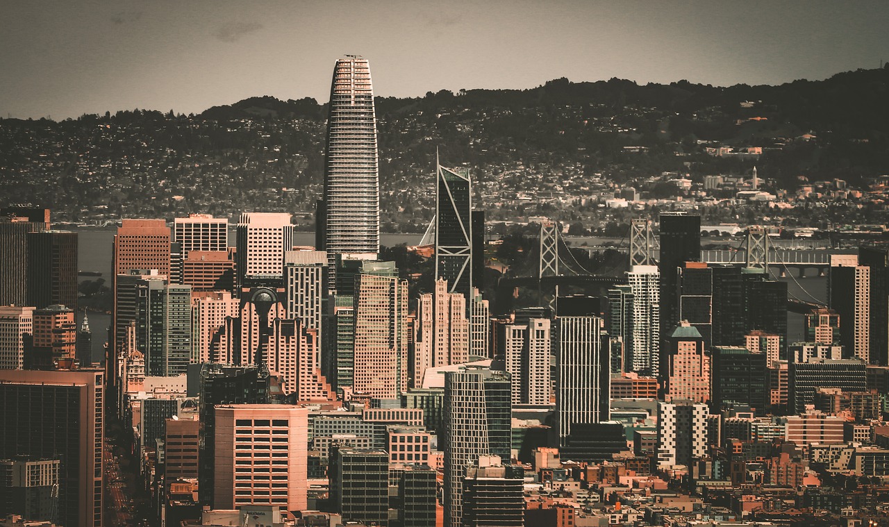 蕾切尔的得 蕾切尔的得