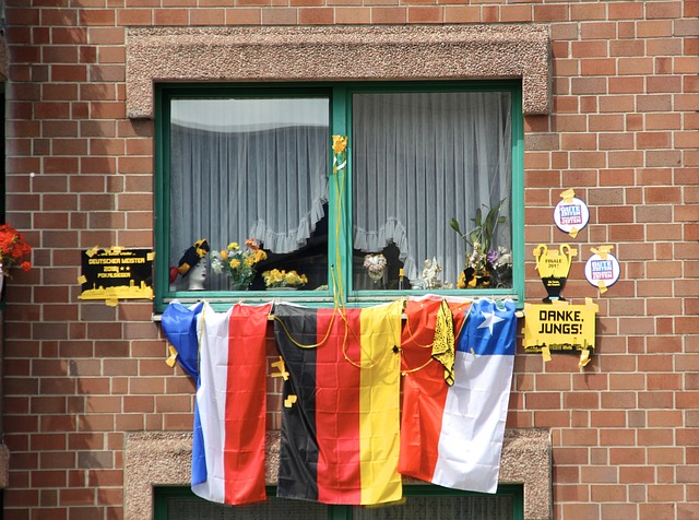 士和森林狼 士和森林狼